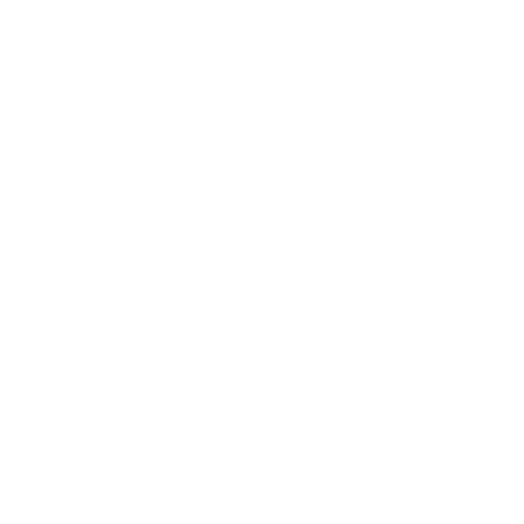 Private Auto Collection Logo